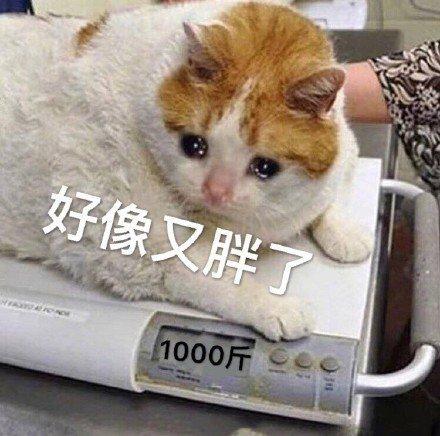  表情包再也不和你天下第一好了