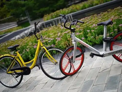 资金告紧,已挪用60亿用户押金摩拜ofo今天回应了 资金告紧,已挪用60亿用户押金摩拜ofo今天回应了