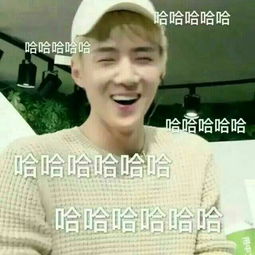  你见到过哪些笑到不行表情包