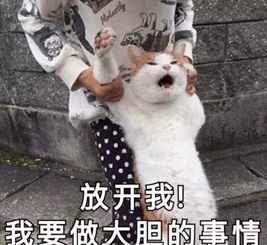  还在穿黑白灰今年秋冬最火的流行色是这5个