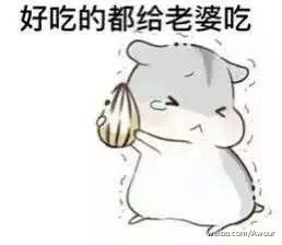 小仓鼠表情包一组老公