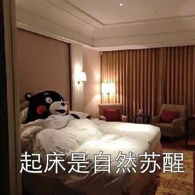  表情包你真的起床过吗