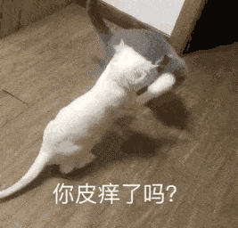 骂人动态表情包diss