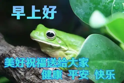  2020早上好表情包,清晨祝福朋友早上好心情表情动态图片