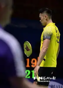 福州中国羽毛球公开赛林丹爆冷出局林李大战落空 福州中国羽毛球公开赛林丹爆冷出局林李大战落空