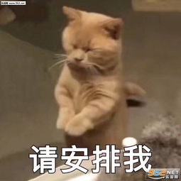 给老子死表情包图片您不觉得您有点叛逆吗表情包下载乐游网游戏下载