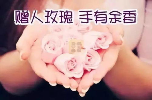  七夕所有罕见的玫瑰,送给好友
