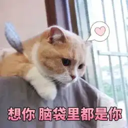 超萌的仙女撒娇表情包想你脑袋里都是你,怎么还不来抱抱我 超萌的仙女撒娇表情包想你脑袋里都是你,怎么还不来抱抱我