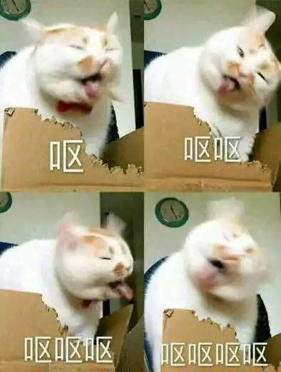 谁有那个表情包一只猫呕吐底下四个呕呕呕呕字 谁有那个表情包一只猫呕吐底下四个呕呕呕呕字