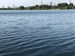 我们来生活 我们来生活