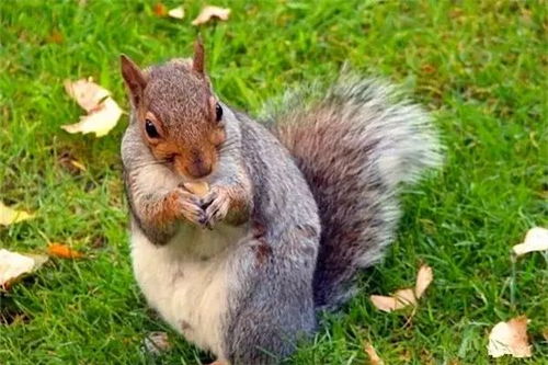 399,入住五星豪华千岛湖开元度假村,还有超多亲子活动酒店 399,入住五星豪华千岛湖开元度假村,还有超多亲子活动酒店