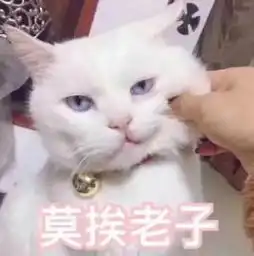 这种女生最容易单身...呵要什么男人 这种女生最容易单身...呵要什么男人