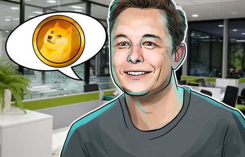  狗狗币开发人员称其从2019年起就一直在与埃隆马斯克合作