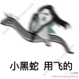  小黑蛇我们走什么梗小黑蛇我们走表情包图片大全