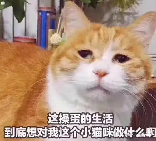 如果分手一年半后,前男友突然联系我,该怎么办 如果分手一年半后,前男友突然联系我,该怎么办