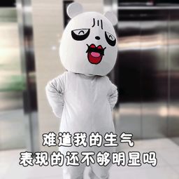  哈林熊表情包真人