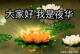  关于三生三世十里桃花21,让杨幂演三生三世的主要原因怎么回事