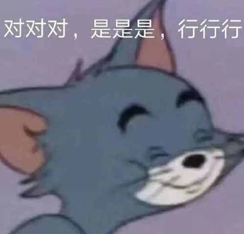  日常聊天必备表情包