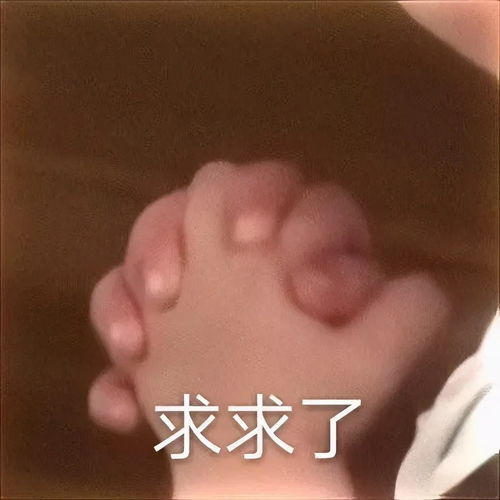  今日份表情包你永远进不了快乐星球