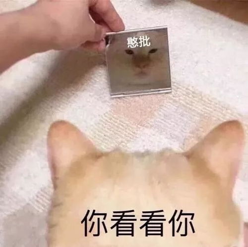  嗯关于今日组头大家没话要说吗