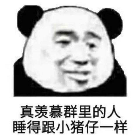  群聊必备表情包真羡慕群里的人,睡得跟小猪仔一样