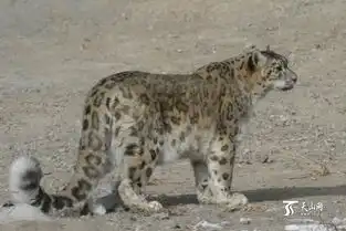 建设生态文明共创美丽中国 建设生态文明共创美丽中国