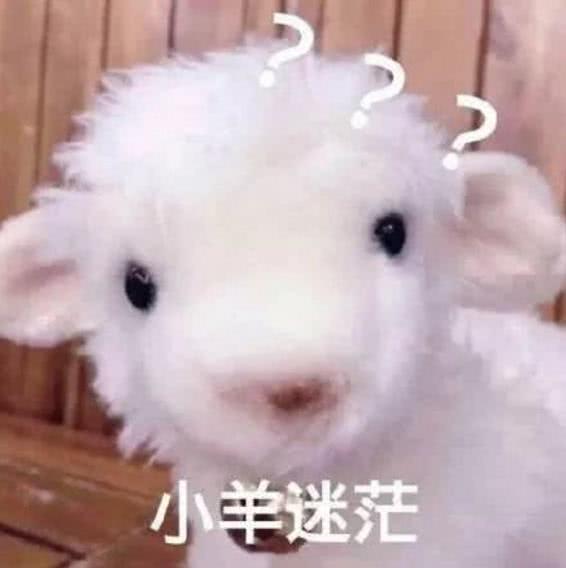 乱码狗头表情包为啥
