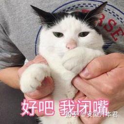  安徽专升本哪个机构好