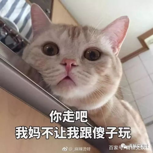  李菲儿陪黄晓明三年,却被黄晓明无情抛弃,今天终于知道原因了