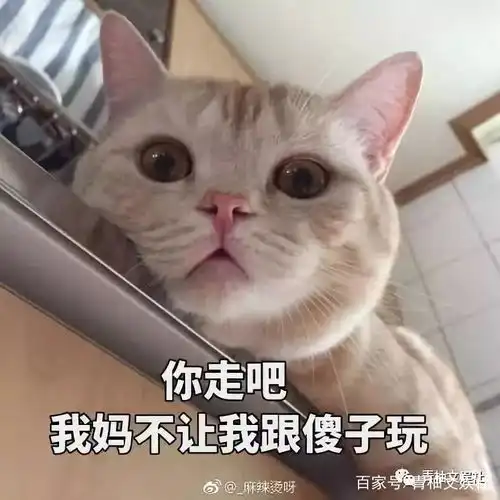 李菲儿陪黄晓明三年,却被黄晓明无情抛弃,今天终于知道原因了 李菲儿陪黄晓明三年,却被黄晓明无情抛弃,今天终于知道原因了