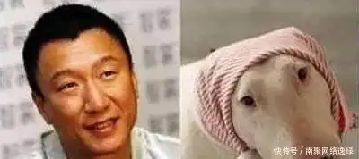 明星撞脸动物笑点层出不穷李易峰萌死人,千玺就有点厉害了 明星撞脸动物笑点层出不穷李易峰萌死人,千玺就有点厉害了