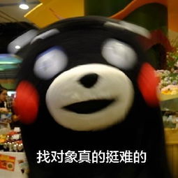  熊本熊带字表情包单身至今的原因