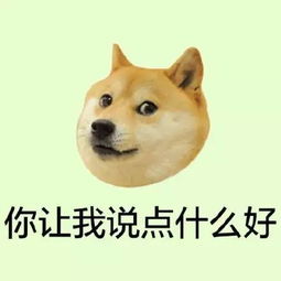  这是亲生的吗武宁一家人沉迷玩手机,竟然没人发现,4岁的儿子已经