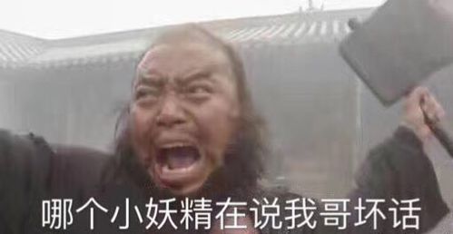  追星来劲儿,恋爱歇菜的星座