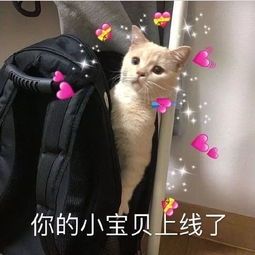  团长分享阴阳怪气举报作文来康康fpx日常吵架二三事