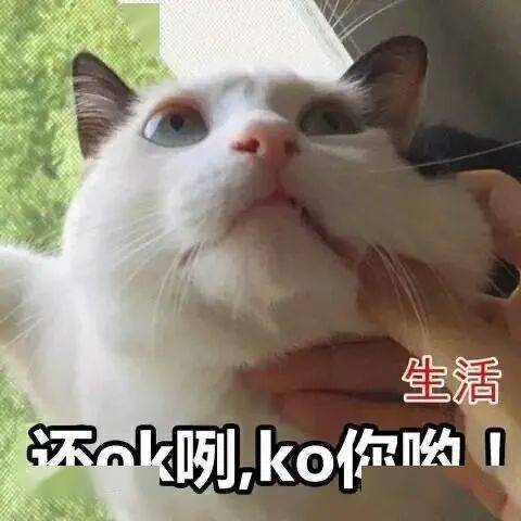  抖音最火表情包合集,每个都很赞