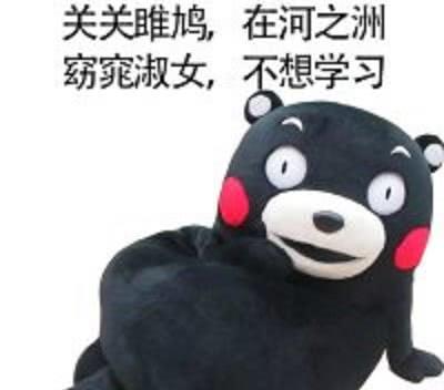  爆笑表情包熊本熊你这么不想学习,不怕你妈妈打死你吗