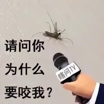  为啥蚊子总咬你华西医生学会这4招再也不怕