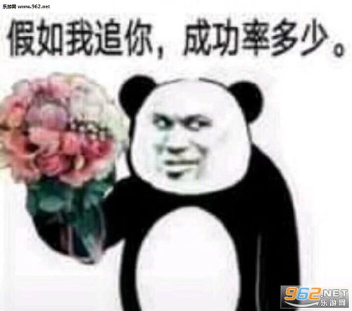  假如我追你成功率多少图片表情包哈喽美丽的女孩表情包下载乐游网游戏下载