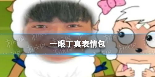 设计公司表情包费用丁真