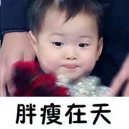  是衣照片是衣相册大全yy官方