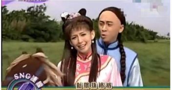  全民最大党里恶搞紫薇尔康骑马的台词是什么全部