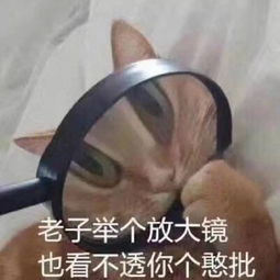  女生都是怎么发现男友出轨的网友们的评论太太太太太优秀了