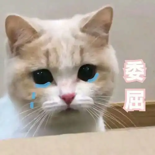 我的收藏 我的收藏