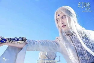  幻城网播量受质疑,6.5亿怎么来数据造假已成视频行业顽疾