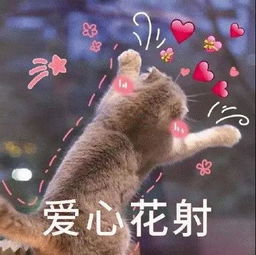 撩汉表情包 可爱刚猛