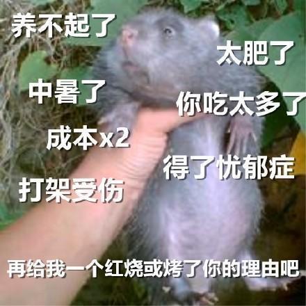 举栗子表情包废鼠