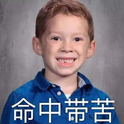 面对疾风吧表情包斗图假