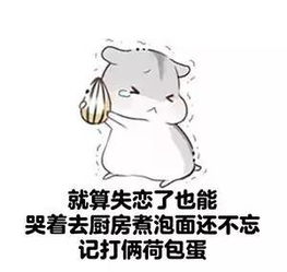 小仓鼠表情包一组你不要