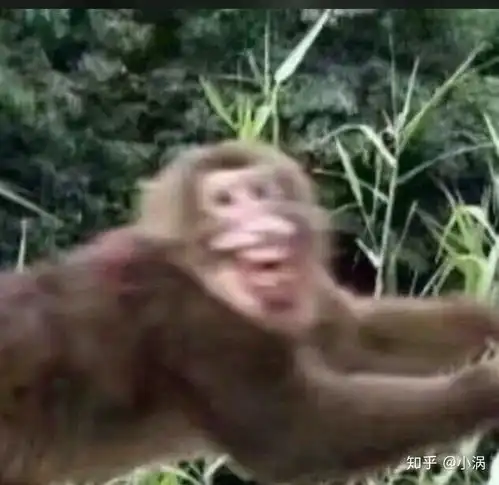 微信回复谢谢的表情包顽